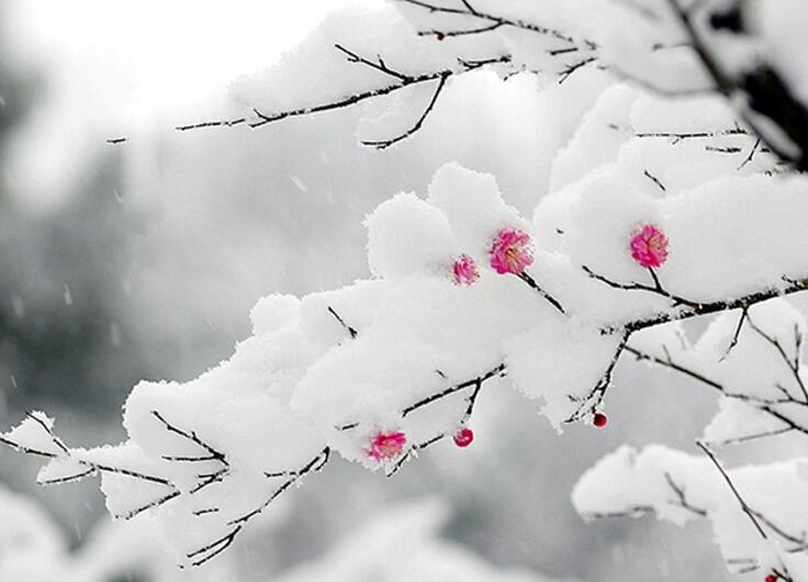 《春日》原文、译文、注释