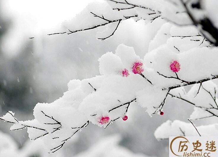 《春雪》（原文、译文、注释和全文赏析）