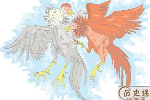 斗鸡在中国已有上千年历史