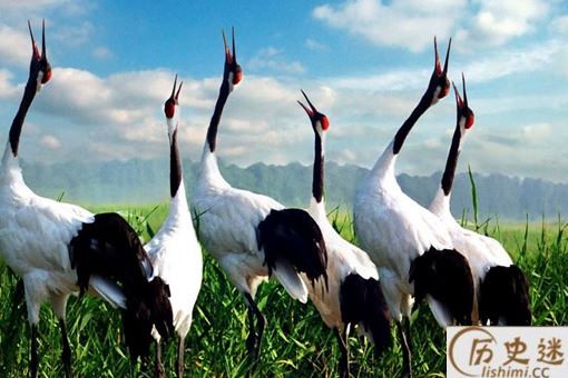 小说里有哪些形式各异的毒药