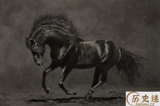 古代南方马为什么没北方马好