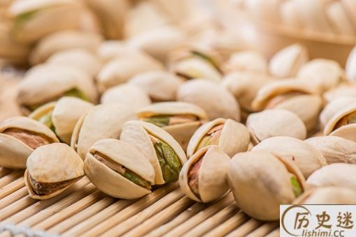 开心果是什么植物的种子