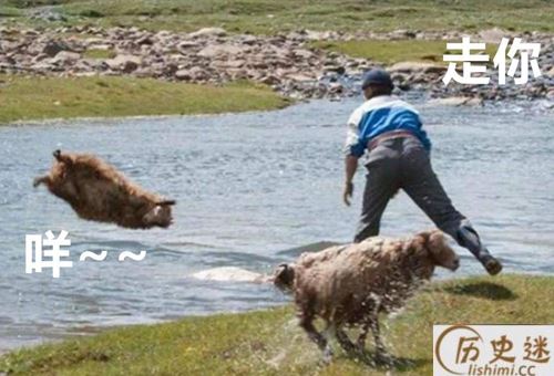 一羊千洗是什么