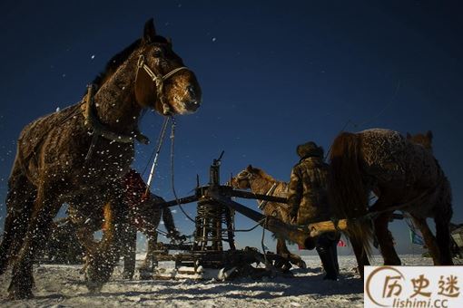 查干湖最大的鱼王有多少斤
