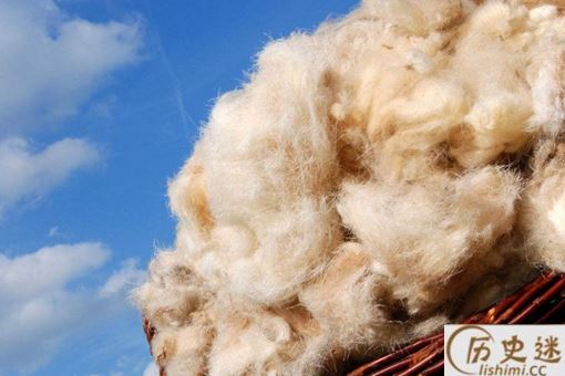 棉花没有普及之前靠什么过冬