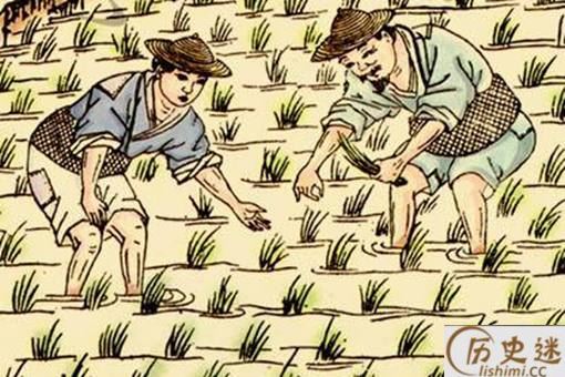 古代很多农民没有土地,为什么他们不自己开荒