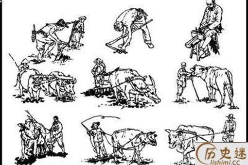 古代很多农民没有土地,为什么他们不自己开荒