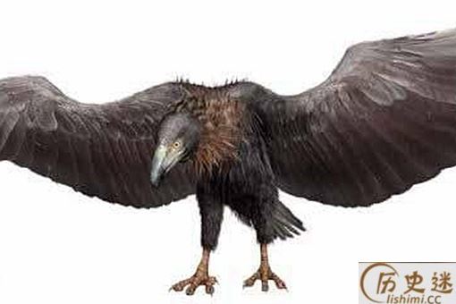 幸好这30种动物灭绝了,要不人类真的难以生存