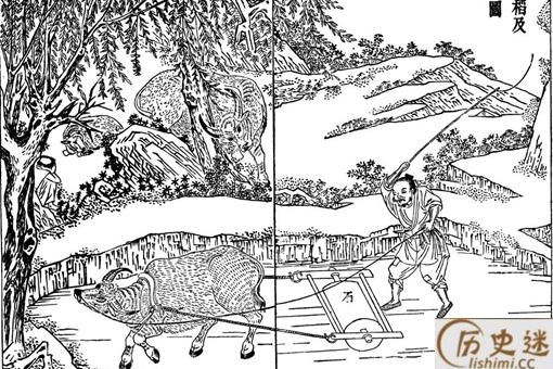 古代很多农民没有土地,为什么他们不自己开荒