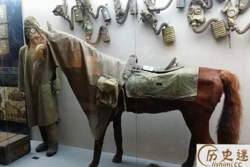 手游现731部队是怎么回事