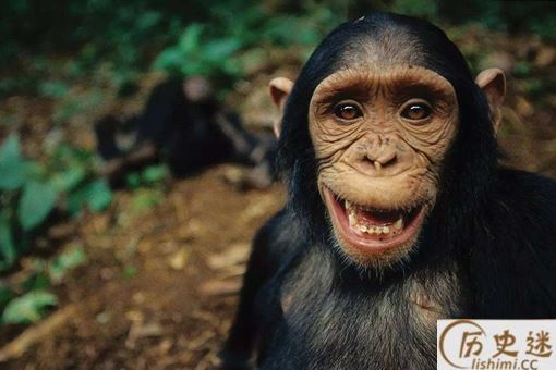 世界上第一个得艾滋病的人是谁