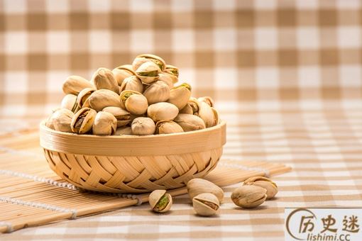 开心果是什么植物的种子