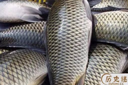 古代渔民是如何保证鱼新鲜的