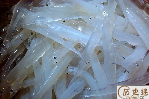 太湖三白是哪三白