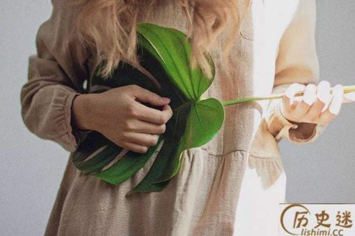 毛至之年是什么意思