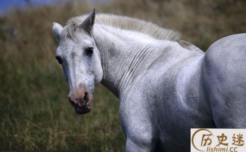 赵云的马叫什么名字