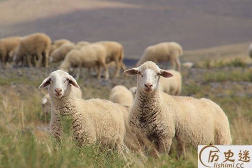 古代皇帝后宫佳丽三千,是如何挑选哪位嫔妃侍寝的