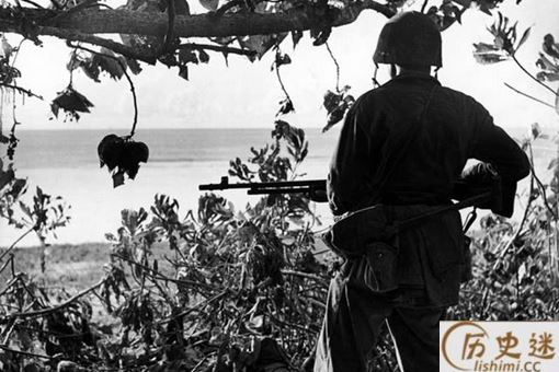 太平洋战争中最奇葩的战斗,人鸟大战