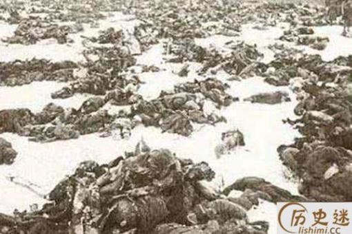 如果希特勒同意生产300万套棉衣给士兵,那么莫斯科会战的结局会怎样