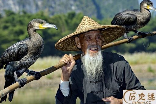 毛至之年是什么意思