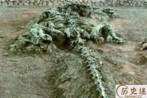 2019年长江真龙事件是怎么回事