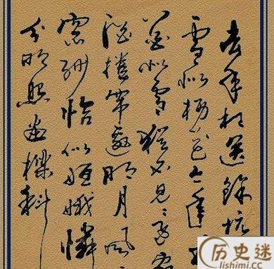 苏轼的少年游主要内容是什么