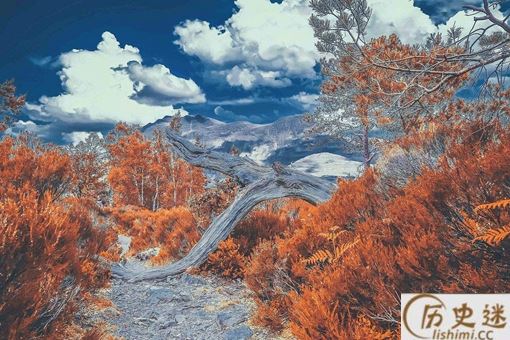 苏格兰怎么老是在闹独立