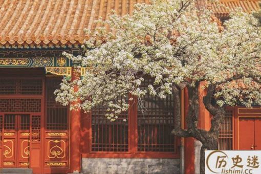 寿康宫灵异事件是怎么回事