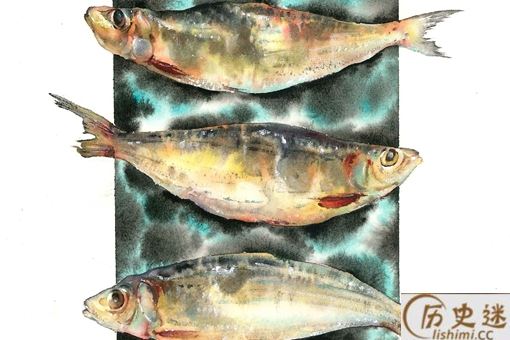 古代人有多喜欢吃鱼