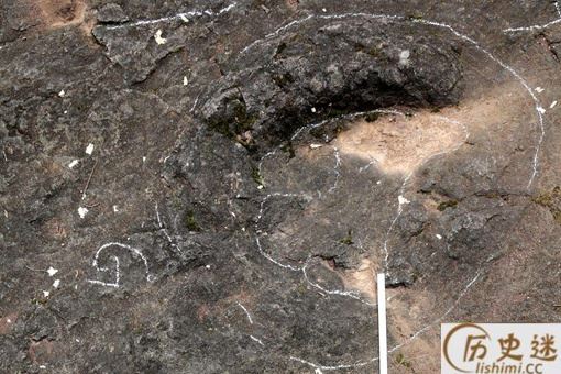 四川发现巨大恐龙足迹是怎么回事