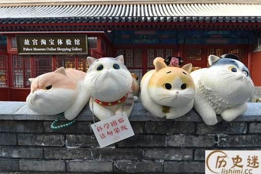 故宫的御猫有何历史