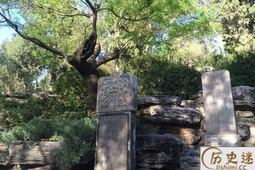 崇祯皇帝吊死的歪脖树在景山哪里