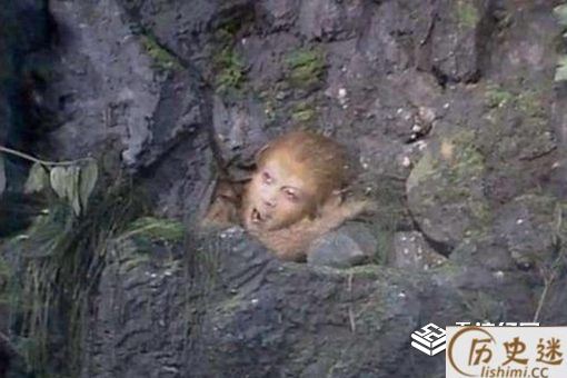 孙悟空不在五行中,为何被压在山下不能施展法术