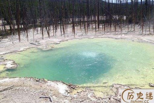 2016达尔文奖获得者是谁