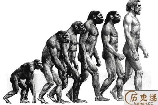 人类从古至今也无法解释的哲学问题有哪些