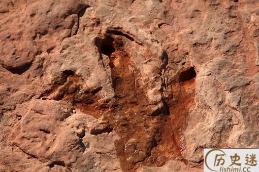 四川发现巨大恐龙足迹是怎么回事