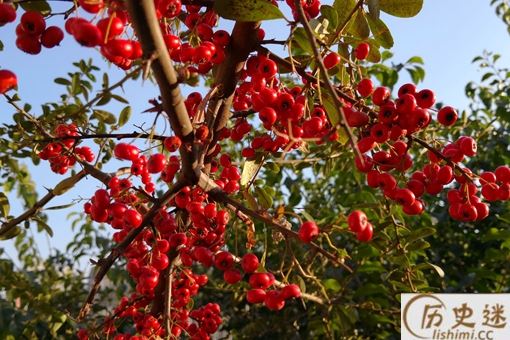 古人都用什么当定情信物