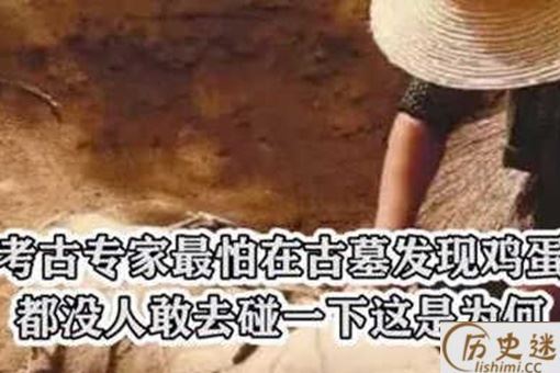 考古者为什么害怕发现鸡蛋