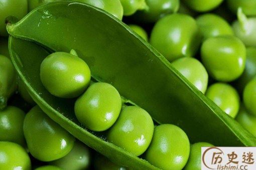 中国为什么叫豌豆为荷兰豆