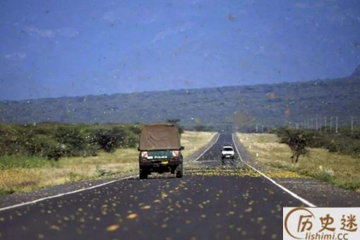 东非蝗灾会影响中国吗