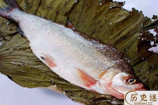 太湖三白是哪三白