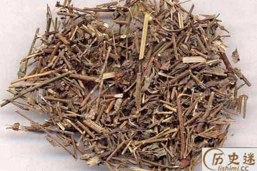 刘寄奴为什么叫刘寄奴