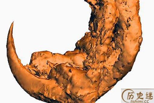 亿年前凶猛古鸟类是什么