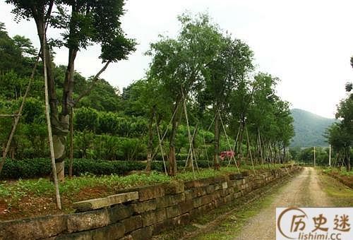 为什么很多人都说宋陵没有考古价值