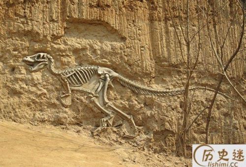 古代人是怎么看待恐龙化石的