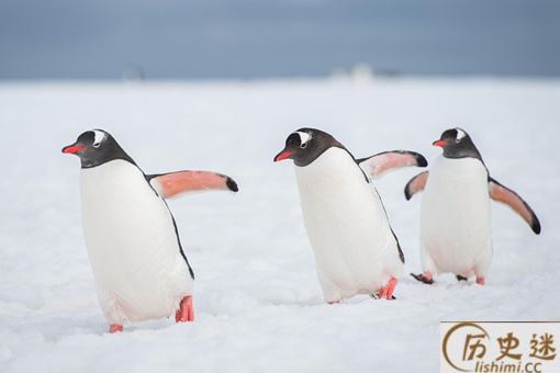 南极再往南走会怎样