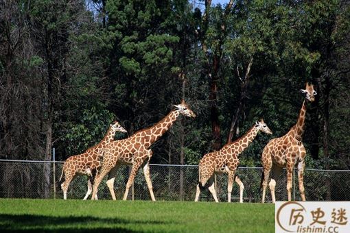 中国第一座动物园是在哪,什么时候建立的