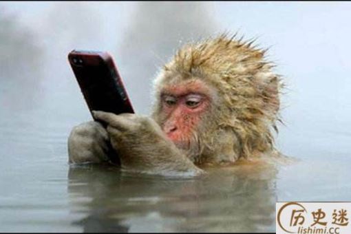 2016达尔文奖获得者是谁