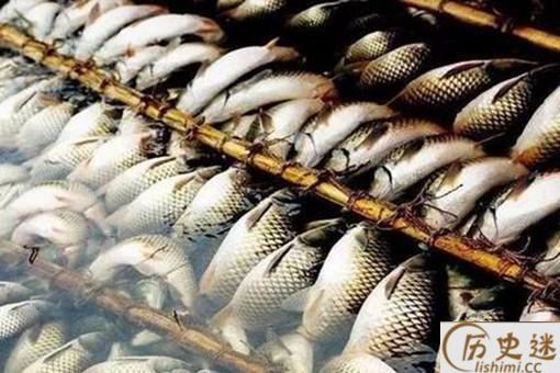 古代渔民是如何保证鱼新鲜的