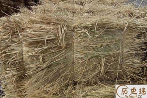 棉花没有普及之前靠什么过冬